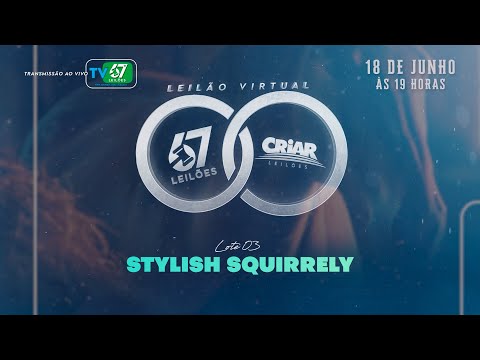 03   STYLISH SQUIRRELY