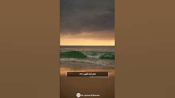 قل من يرزقكم من السماء والأرض أمن يملك السمع والأبصار ||سورة يونس|| بصوت القارئ عبدالرحمن مسعد