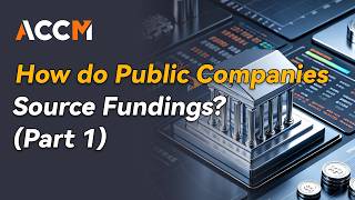 How do Public Companies Source Fundings? (Part 1)