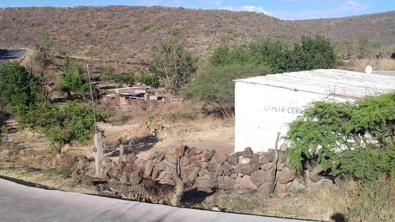 Rancho nuevo YouTube