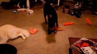 DSCF6583.AVI