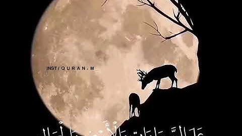 اسلام صبحي🌹سورة الأحزاب|حلات وتساب🌹