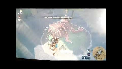 How to kill a Hinox! |BOTW Tutorials