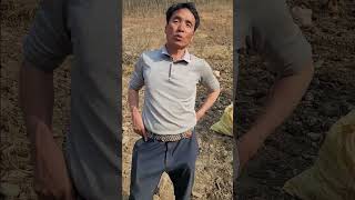 I asked a 10,000-pyeong deodeok farmer if he could make money by growing deodeok. I asked a 10,000-pyeong deodeok farmer if he could make money by growing deodeok.