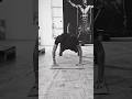 50 push-ups challenge ❤️ guys apka push ups comment Karo 🫂 #gym #shorts #viral #trending #motivation