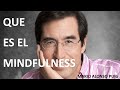 Mario Alonso Puig - QUE ES EL MINDFULNESS - ELPRESENTE CONSCIENTE.