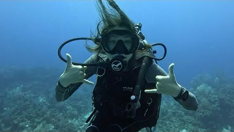 NYU SELFIE (ACCEPTED 2025)