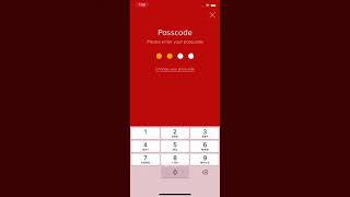 Video Call Santa - How to Recover Passcode screenshot 4