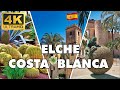 Elche spain  world capital of palm trees   costa blanca 