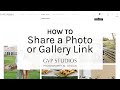 GVP Studios | How share photos through your online gallery, or share via a link