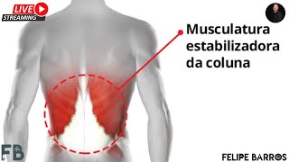 Lombar - Músculos, artérias,  veias, linfáticos e correlações clínicas | Prof. Felipe Barros