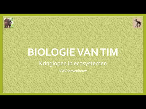 Biologie van Tim - Kringlopen in ecosystemen (bovenbouw)
