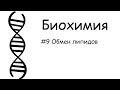 #9_Обмен липидов