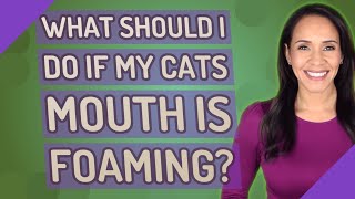 What should I do if my cats mouth is foaming?