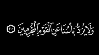 كروما شاشة سودا 🌠القارئ عبدالرحمن مسعد 🌠 تلاوة هادئة ﴿حَتّى إِذَا استَيأَسَ الرُّسُلُ .. 🥺🌱🖤🌠