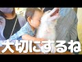 赤ちゃんハスキーをギュッと抱きしめ愛情たっぷりにお迎えしました・・・
