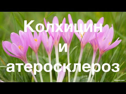 Видео: Болка и оценка на качеството на живот при пациенти с локализирана епидермолиза Bullosa Simplex