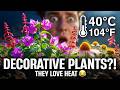 😍10 Best Heat-Tolerant Plants to Plant in May (Easy, Low Maintenance Garden)🍃
