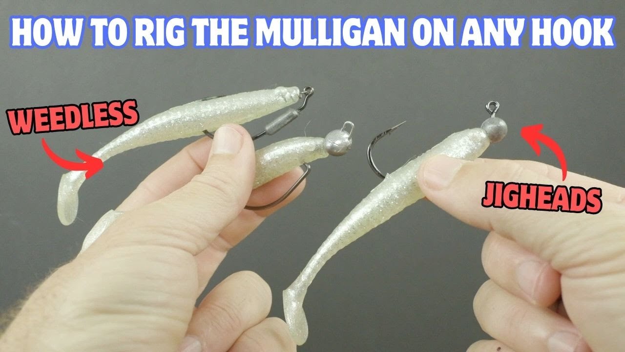 How To Rig Mulligan Paddletail Lures On ALL Types Of Fishing Hooks