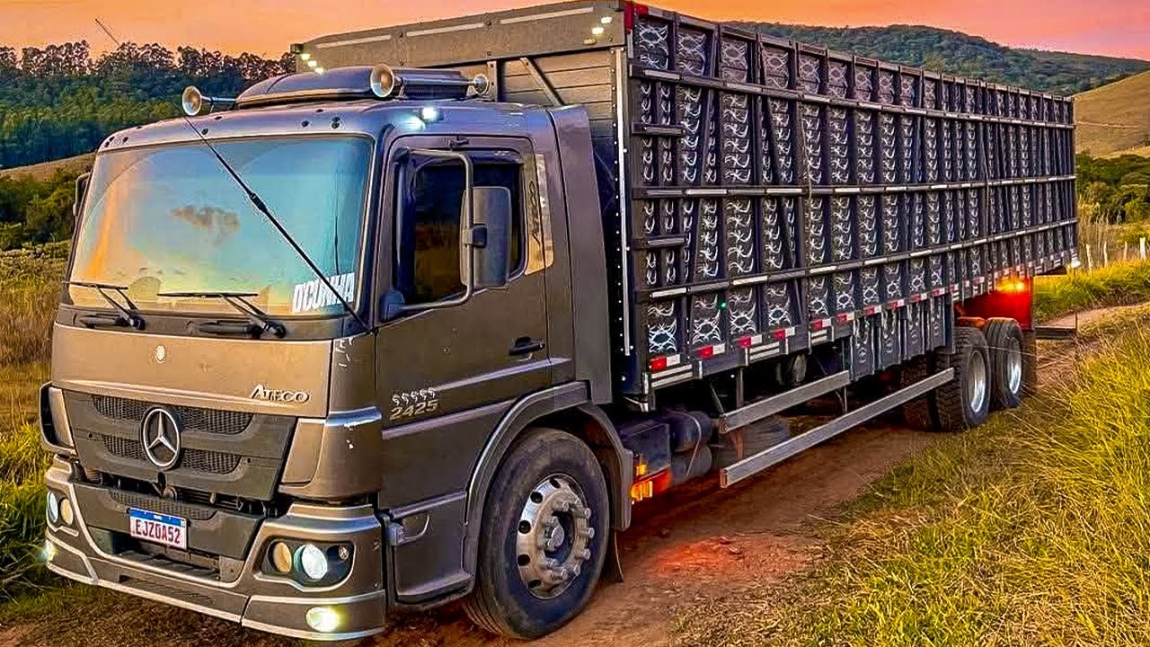 OS CAMINHÃO BOIADEIRO MAIS TOP´S e QUALIFICADOS - ELITE DO BOI