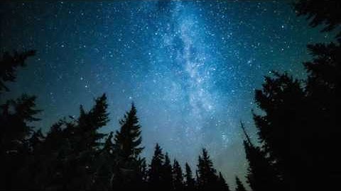 تلاوة رائعة من سورة ص للقارئ عبدالمحسن بخش