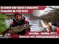 ОСЕННИЙ ЖОР ЩУКИ И НАОБОРОТ. ТРИ РЫБАЛКИ НА РЕКЕ ПСЕЛ ОСЕНЬЮ 2017 ГОДА