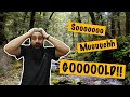So much GOLD!! Gold prospecting & Gold Panning New Zealand!