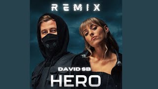 Alan Walker & Sasha Alex Sloan - Hero [David SB Remix]
