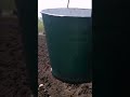 So, We plant potatoes