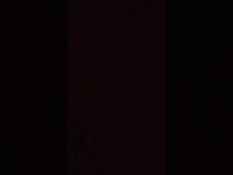 2022年1月17日loop2