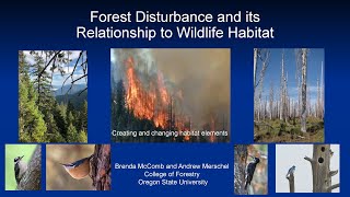Forest Disturbance and its Relationship to Wildlife Habitat - Dec. 19, 2023