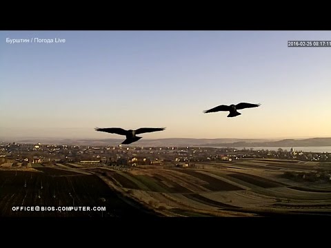 Погода в Бурштині, Україна. (Burshtyn/Ukraine). Live PTZ HD weather camera