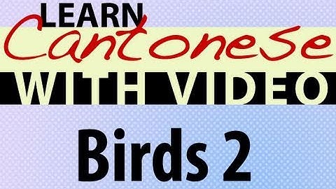Learn Cantonese with Video - Birds 2