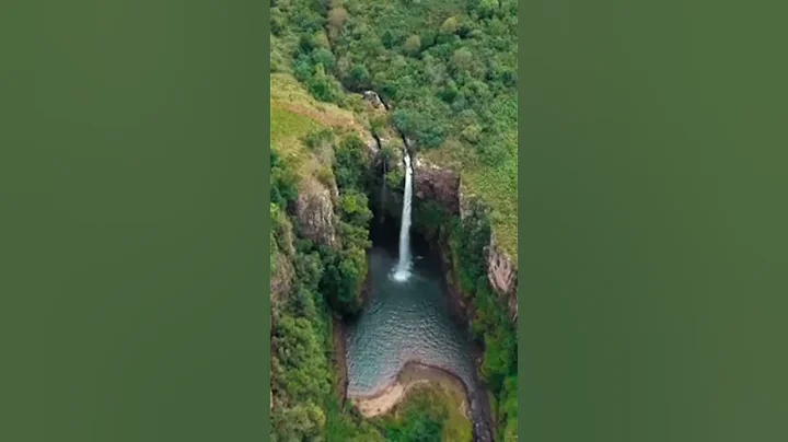 Teach your children good manners.