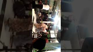 Gambus jawa asli