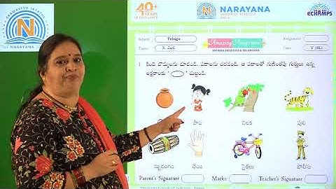 1ST OCT AP CLASS V SL TELUGU AMAZING ASSIGNMENT KEY