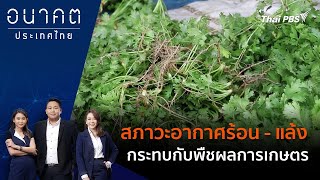 สภาวะอากาศร้อน - แล้ง กระทบกับพืชผลการเกษตร | อนาคตประเทศไทย | 2 พ.ค. 67