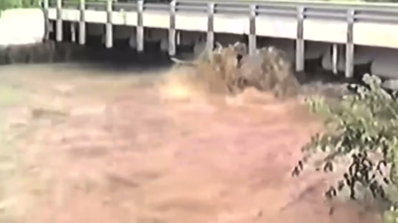 The Great Flood 1985 (West Virginia) YouTube