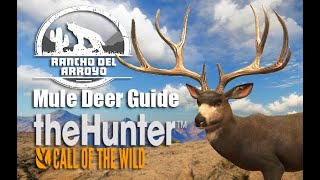 Mule Deer Guide - theHunter Call Of The Wild