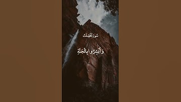 الراحة النفسية 💞عبد الباسط عبد الصمد تلاوة خاشعة تريح الصدور حالات واتس اب قرآن كريم ✨️✨️