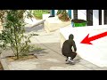 Realistic skater xl edit mx1000 by milky dubbed