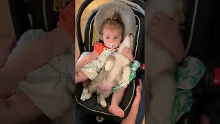 Baby and Puppy Become Good Friends || ViralHog