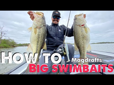 Best Swimbaits for Bass of 2023