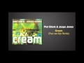 Paul van Dyk Remix of CREAM by Blank and Jones