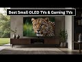 Best Small OLED TVs &amp; Affordable 65-Inch Gaming TVs in 2025!