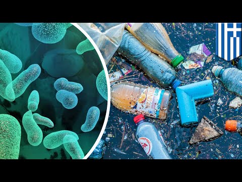 Video: Alam Melawan Balik: Plastik Pemakan Bakteri (PET) Telah Ditemukan! - Pandangan Alternatif