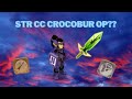 Beta - Str Crocobur CC Cra new meta?? | Dofus beta [Dofus]
