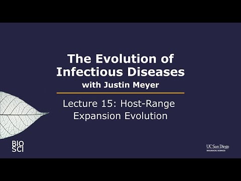 The Evolution of