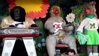 Video thumbnail of "Rock-afire Explosion playing in Ireland"