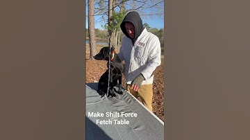 A No Excuses Force Fetch Table! Build Your Own!